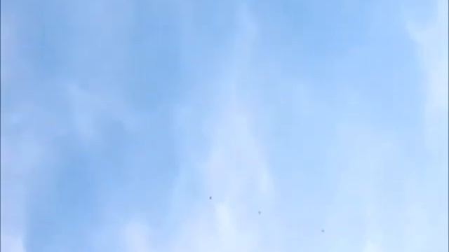 Юрий Крупеня Ялуторовск, 2017 г. 11 Июня. Подъём голубей. смотреть онлайн