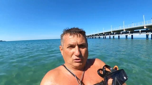 27.05.2021. Анапа. Пляж. Сбор рапанов в море. смотреть онлайн