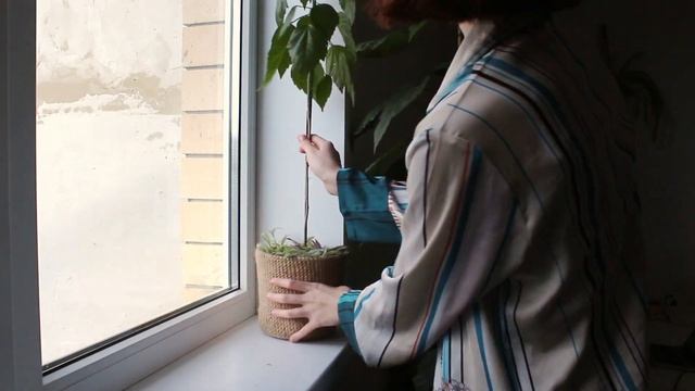 ЦВЕТОЧНЫЙ ВЛОГ: перестановка растений, перевоплощаю комнату смотреть онлайн