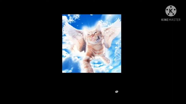 Видео про Симбочку старшего и Симбочку младшего