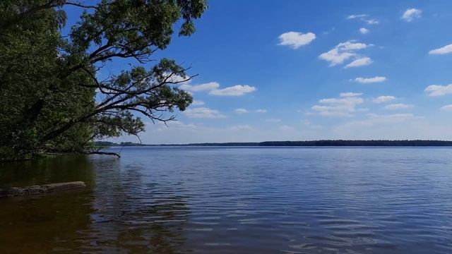 Учинское водохранилище в Пушкинском районе Московской области смотреть онлайн