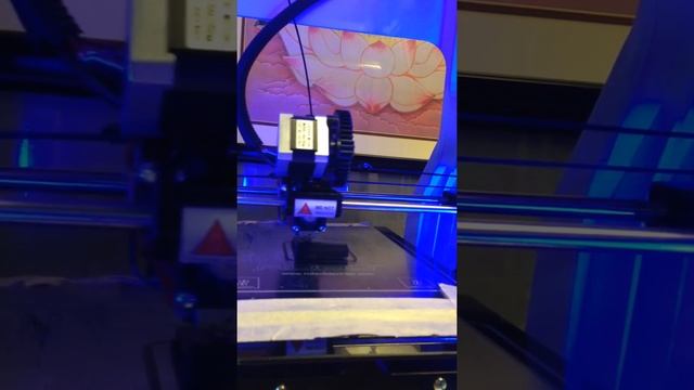 IMG 2958 смотреть онлайн