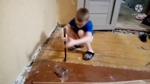 Как сменить пол? Ремонт в квартире с деревянным полом