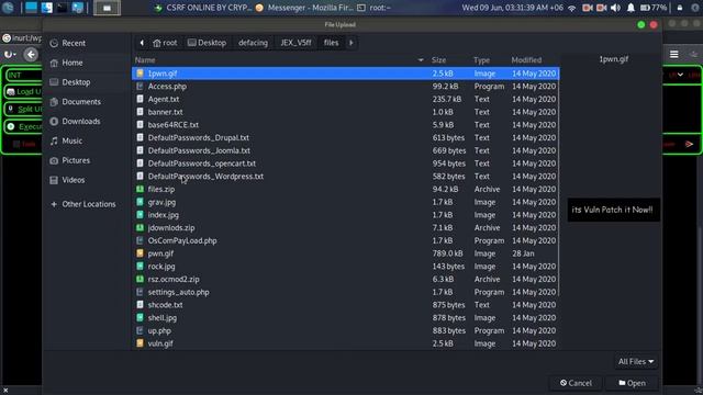 Wp Ghost theme CSRF exploit