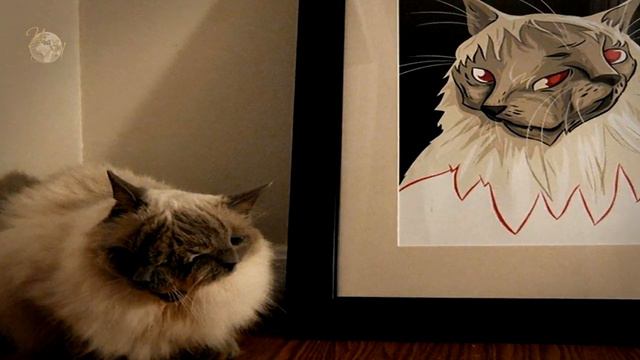 НЕВЕРОЯТНЫЕ ИСТОРИИ. Двухголовый кот Френк и Луи. Необычные животные. Удивительные истории смотреть онлайн