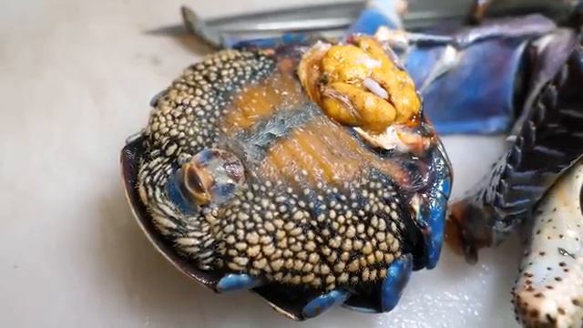 거대한 인도 칠리 크랩, 코코넛 크랩, 맹그로브 크랩 Giant Indian Chili Crab, Coconut Crab, Mangrove Crab.mp4