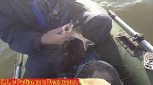 Ловля, берша с лодки в отвес на Тюльку.Ловим в отвес с лодки так ловили наши деды на балду в СССР.