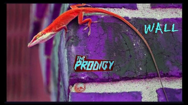 THE PRODIGY - WALL