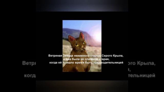 Факты о котах воителях 2 смотреть онлайн