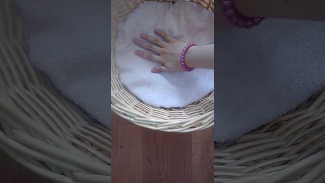 Кроватка для кошки своими руками?:) смотреть онлайн