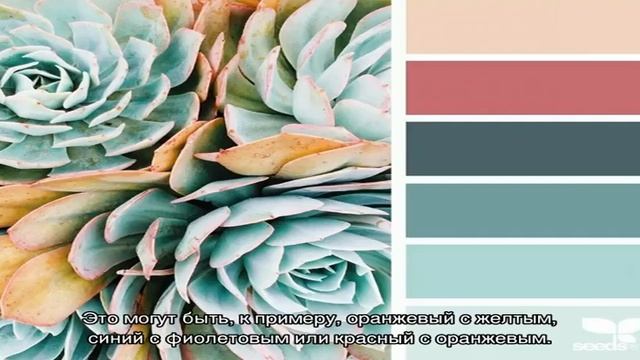 Сочетание цветов в интерьере кухни (50 фото): правильно подбираем палитру смотреть онлайн