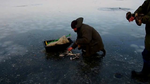 04.02.2017... Отдых на Куршском заливе. смотреть онлайн