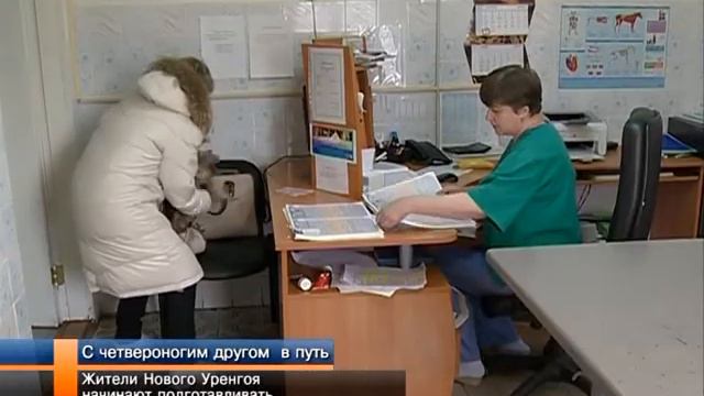 Жители Нового Уренгоя начинают готовить домашних животных к отпуску. смотреть онлайн