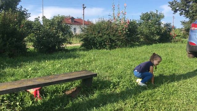 ДЕТИ ПРИЕХАЛИ В ДЕРЕВНЮ, А ТАМ!? выходной день в деревне смотреть онлайн