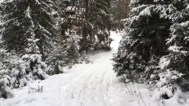 Вот что может УАЗ на бездорожье! Просто ошибся дорогой... смотреть онлайн