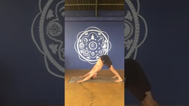 Утренняя йога \ Йога для начинающих - урок 1 смотреть онлайн