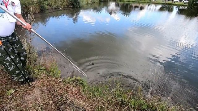 СЕКРЕТЫ РЫБАЛКИ.ПОЧЕМУ ловиться только у меняКак заставить рыбу ловиться.Рыбалка в Калужской област смотреть онлайн