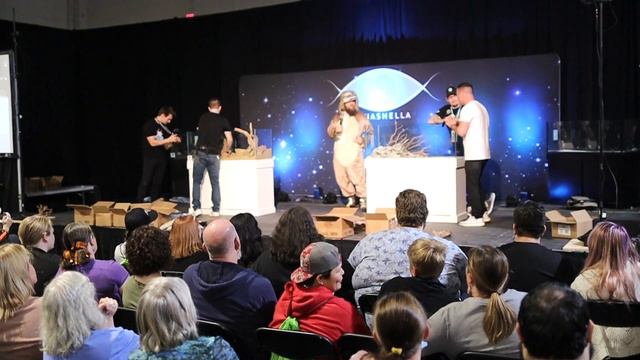 Freshwater Aquarium Scape Off!! - (King of Diy VS. Aquapros) смотреть онлайн