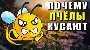 Почему пчелы кусают. Почему пчелы жалят