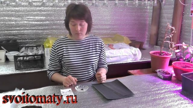 Скарификация семян смотреть онлайн