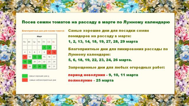 Благоприятные дни для посева семян томатов на рассаду весной 2024 года по Лунному календарю смотреть онлайн