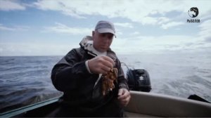 Анонс. Рыболов. Сомятники