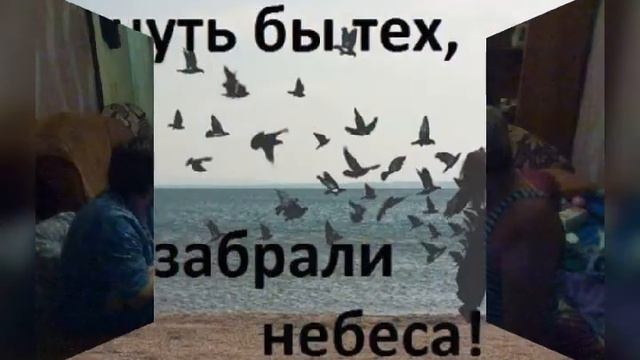 Сегодня 5 июня.не стало нашего любимого дудули. смотреть онлайн