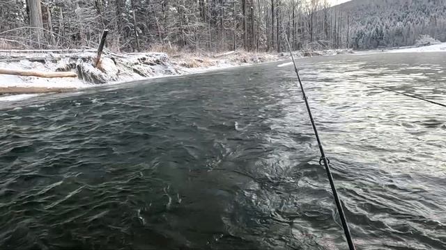 Горная рыбалка на хариуса. Ловля хариуса и ленка на мушку. Ловля хариус в ноябре на спиннинг. смотреть онлайн