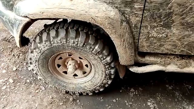 Впечатления от Nortec 500