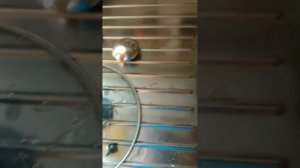 Стеклянные крышки от кастрюль и сковородок. Наводим порядок на кухне.