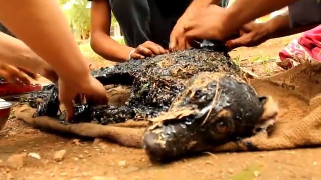 Волонтеры подошли к мертвому псу, который свалился в яму со смолой, но вдруг