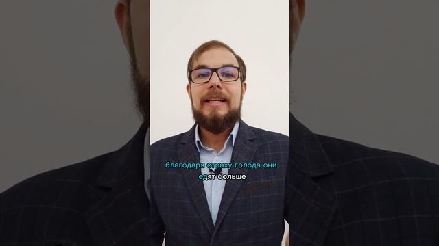 Страх голода опасен для фигуры. Три способа его убрать