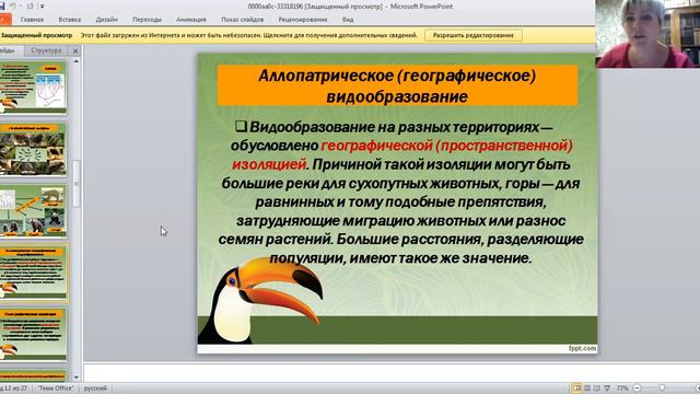 Биология 11 кл,Видообразование смотреть онлайн