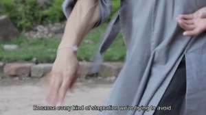 Мастер Shi Heng Yi (Ши Хенг И) о Кунг-Фу