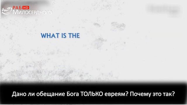 Посмотрев это видео, не останется сомнений в том, что Ислам действительно истина. смотреть онлайн