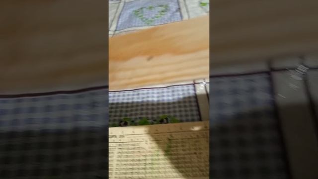 ответ Евгению Боровик про боковые планки. смотреть онлайн