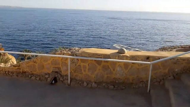 Обзор отеля Дримс Бич ,Шарм Эль Шейх. смотреть онлайн