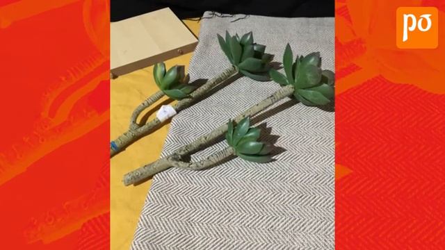 Miniature Echeveria Lotus like Artificial Succulents Plants Flower смотреть онлайн