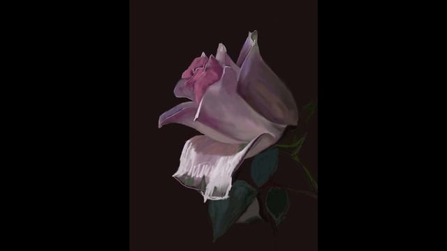 роза, pink rose смотреть онлайн
