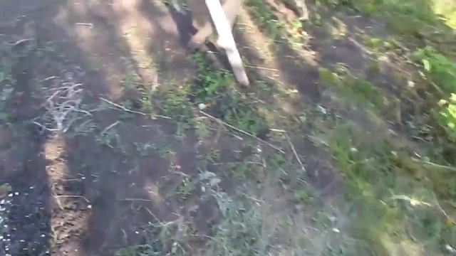 Готовим на даче, свинина на углях! смотреть онлайн