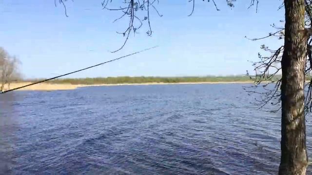 АДРЕНАЛИН - Горячий репортаж с рыбалки! смотреть онлайн