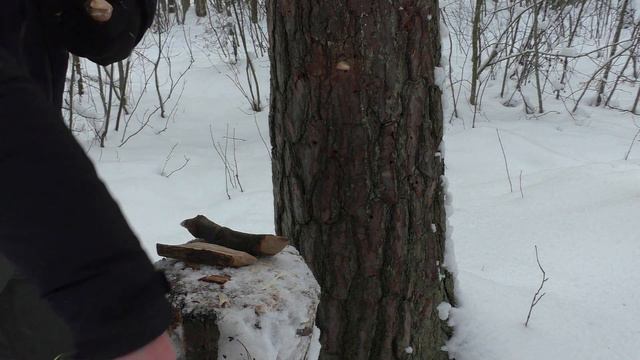 Нож AEGIS AT SOG Knives. Уличный тест