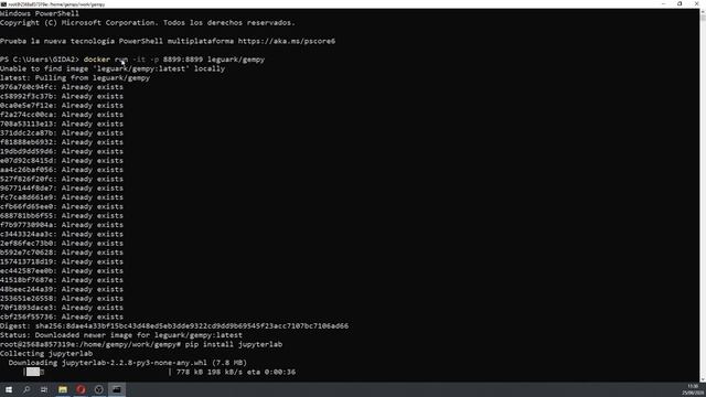 Tutorial for the installation of Gempy in Windows 10 with Docker смотреть онлайн