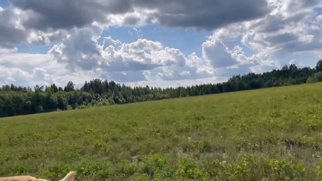 Медитация перед сном ❤️ смотреть онлайн