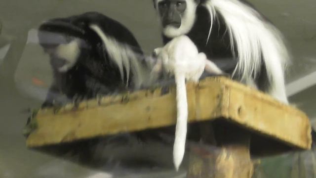 Полдник смотреть онлайн