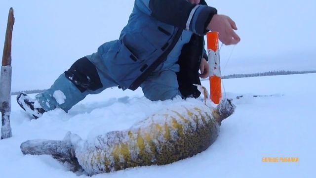 Жизнь в избе на разливах после полярной ночи | Подлёдная рыбалка смотреть онлайн