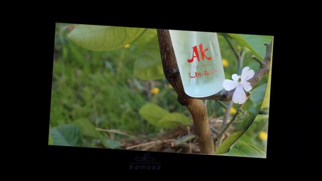 LAN-Belle/ аналог Lancome La Vie Est Belle смотреть онлайн