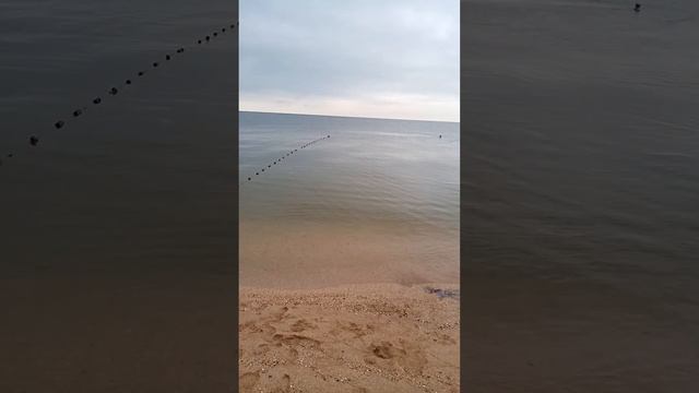 Азовское море 03 августа 2023 года смотреть онлайн