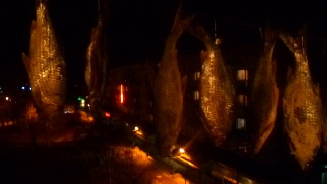 Сушим рыбу не боясь мух , вялим рыбу на открытом воздухе не боясь мух , как вялить рыбу без мух смотреть онлайн