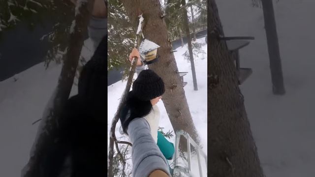 В гостях у феи ? смотреть онлайн